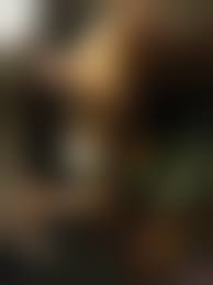 無修正　性処理奴隷人妻|調教中SEX IS EVERYTHING 淫乱眼鏡人妻!性処理奴隷に中出し調教! なおみ - 無料アダルト動画付き（サンプル動画） - 裏DVD・無修正DVD・ストリーミング  無修正DVDハッピー