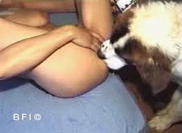Bilara double fuck rarevideofree com sex zoo dog fuck girl fucks dog jpg x Girl fucks dog