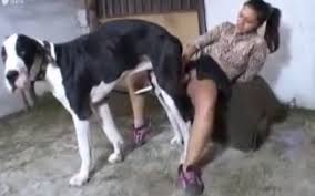 Tranny porn actress fucks dog zoofilia porn jpg x Fuck dog