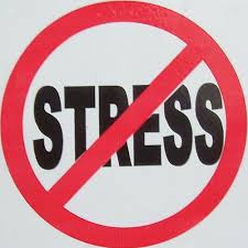 Small Business Challenges