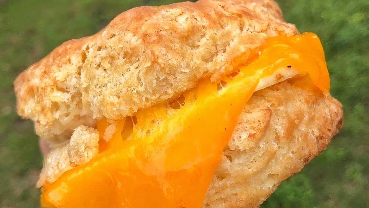 Bird Bird Biscuit by null
