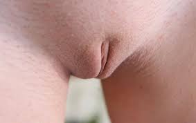 Bald vagina jpg x Bald vagina