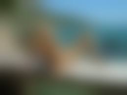 rajce idnespediatric pussy|Rajce Pussy - 78 porn photo