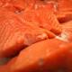 Scientists: US salmon may carry Japanese tapeworm 