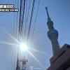 文化の日