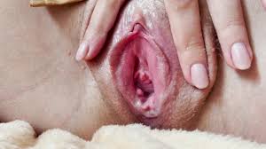 Close up porn videos faphouse jpg x Teen vagina close up