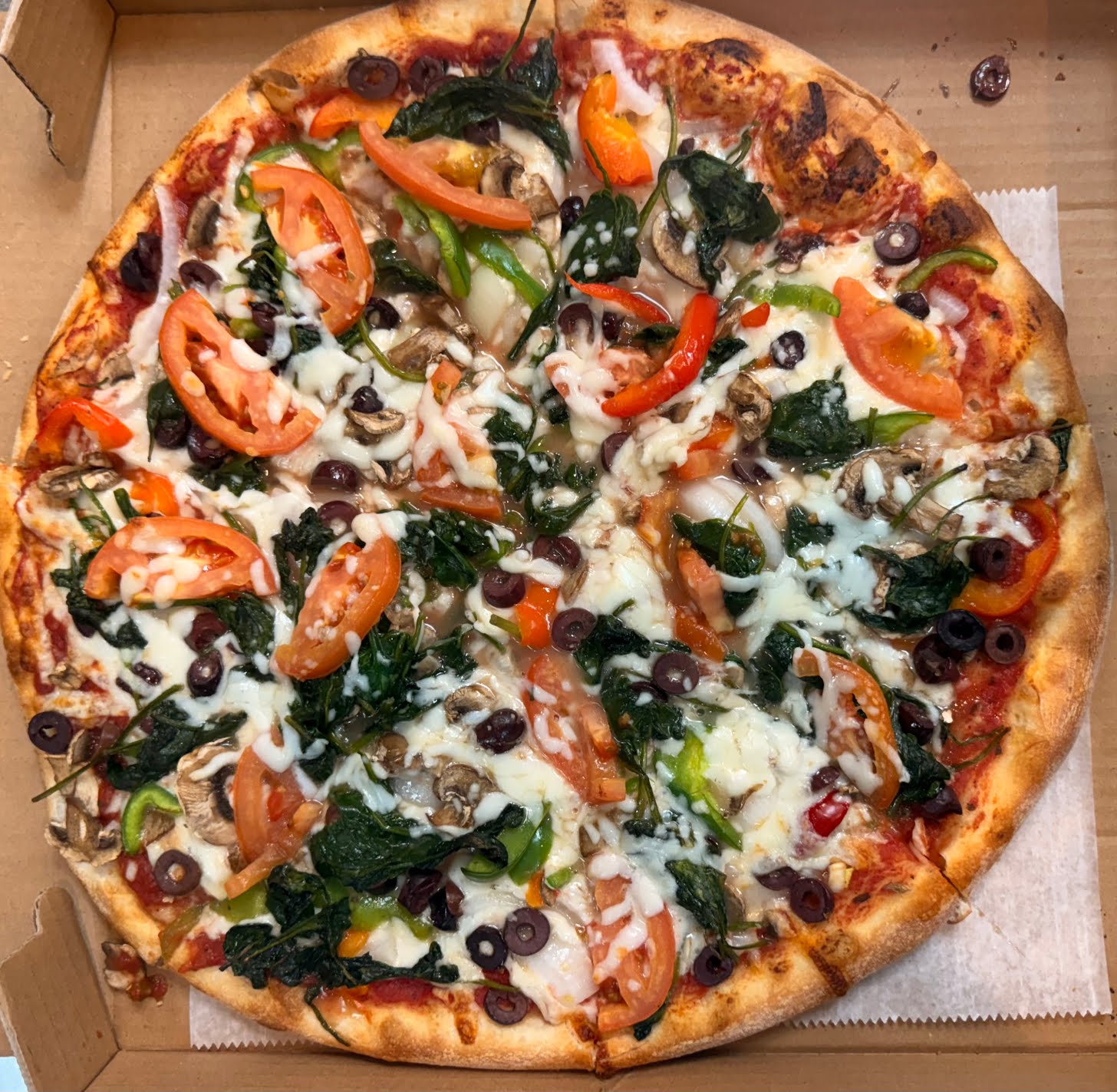 Pizza Greco by null