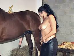 Women sex with horse jpg x Women sex with horse