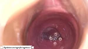 Camera inside of the vagina during sex warning for matured viewers only jpg x Camera inside vagina during sex