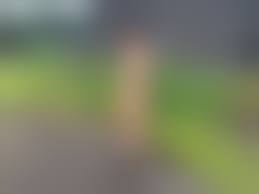 野外全裸妻|熟妻 | 野外露出 | 妻画像投稿倶楽部