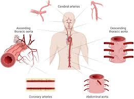 go ah ra fake nude|Im Yoon-ah filmography - Wikipedia
