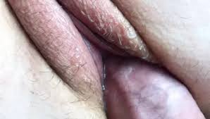 Vagina close up porn videos jpg x Vagina close up