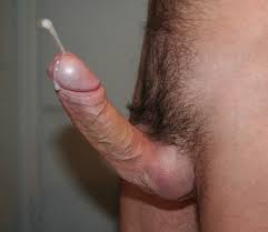 Egndhgaaaa ydacjzvbdqj ots jpg x Erected penis