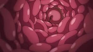 Anal hardcore sex hentai busty teen fantasy teaser anime hentai porn jpg x Anime hentai 3d teen