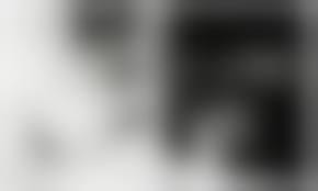 araki nude photo|Nobuyoshi Araki's 10 Most Controversial Photos (NSFW) | Sleek Magazine