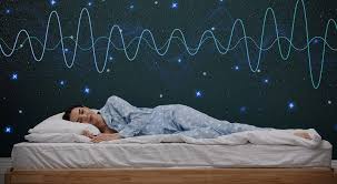 rajce  [[[[deti idnes rajce sleep 1|ŠTĚŇÁTKA / PUPPIES :: Abonito-hovawart