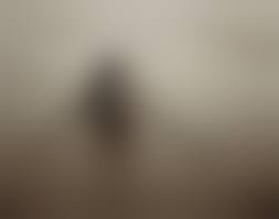 nude photography jock sturges-39|Maia and Mona, Montalivet, France by Jock Sturges | Art.Salon