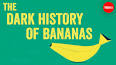 The Secret History of the Banana ile ilgili video