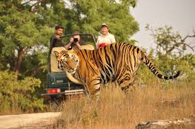 Ranthambore Agra Jaipur Tour, Ranthambhore Wildlife Tour From Delhi, Delhi Hire Car and Driver