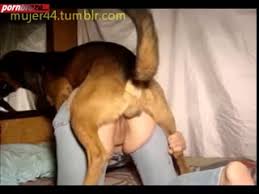 Girls having sex with dogs png x Girls having sex with dogs