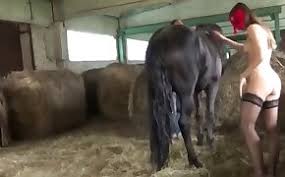 Blonde does wild anal with her wonderful horse jpg x Women sex with horse