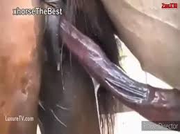 Horse porn movie with a really kinky dude jpg x Man fuck mare