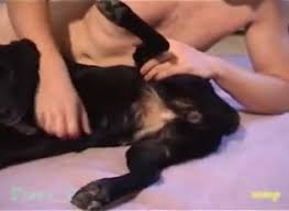 Guy female dog anal bestiality sex movie zoo porn dog zoo porn with men at katitube jpg x Man fuck female dog