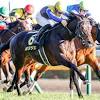 【AI予想・金鯱賞】ジャックドールではない「あの馬」を  抜擢！ 4 ...
