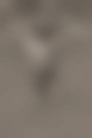 amateur beach nude |Amateur girlfriend Luba B flaunts her nude body on the sandy beach -  Pichunter