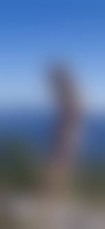 flickr boys nude|I Found Naked Pictures of Myself on the Internet | by Human Parts | Human  Parts