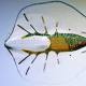 Scientists created a cyborg stingray powered by the heart of a rat 