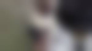 japanese pussy outdoor flashing|Japanese teen has no shame when she flashes her pussy and sucks a dick in  public