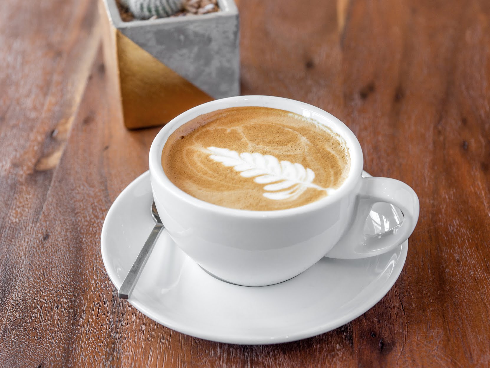 Silverback Coffee of Rwanda by null