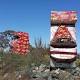 Tuggeranong Parkway cardboard sculptures get heads talking 