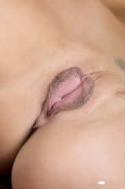 Gorgeous pussy fucking jpg x Gorgeous pussy