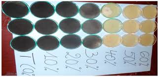 pedo onion cum|Untitled