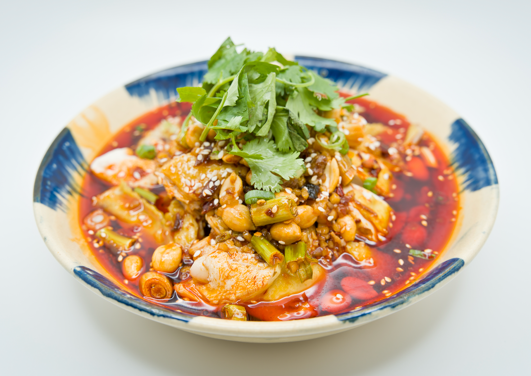 Tasty Noodles & Dumplings by null
