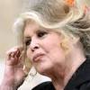 "À cause de cette fibre de m… " : Brigitte Bardot coupée du monde ...