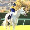 秋華賞１０着ソダシ 一夜明けて馬房で静養 今浪厩務員「歯は大丈夫 ...