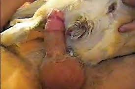 Fuck female dog gaybeast man fucks pet extrem sex and taboo porn jpg x Man fuck female dog