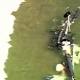 Plane crashes near North Stradbroke Island, Brisbane 