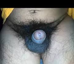 Hairy penis photos jpg x Hairy penis