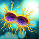 Sexually Transmitted Disease Cases Hit New High in US 