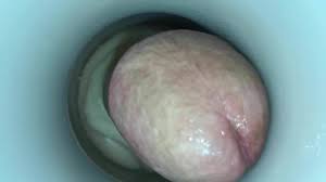 Anal truffle butter jpg x Anal truffle butter