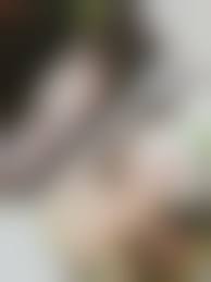 富士出版　ヘアヌード|切り抜き 『富士出版』1万円写真集 奇跡の美人妻ヌード傑作選 袋とじ 8P 週刊大衆2023年2月27日の商品情報 |  Yahoo!オークション(旧ヤフオク!)アダルトカテゴリ落札相場 - エロカテ.com