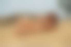 island ls nude|Girl Island Ls Nude Modelssexiezpix Web Porn