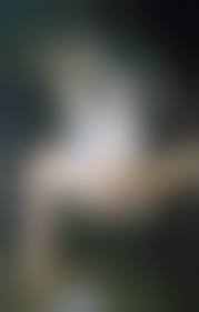 緊縛写真 昭和|緊縛桟敷キネマ館 杉浦則夫監修 /商品詳細 昭和緊縛十九集