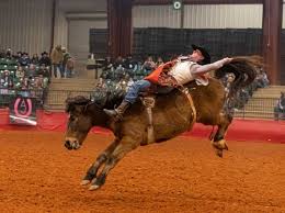 Teens on mechanical bull tit flash big ass jpg x Rider rodeo