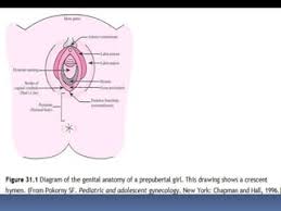 Pre pubertal girls nude |Everything Parents Need To Know About Precocious Puberty
