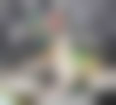 tony hentai pussy|Tony Chopper nami / funny cocks & best free porn: r34, futanari, shemale,  hentai, femdom and fandom porn